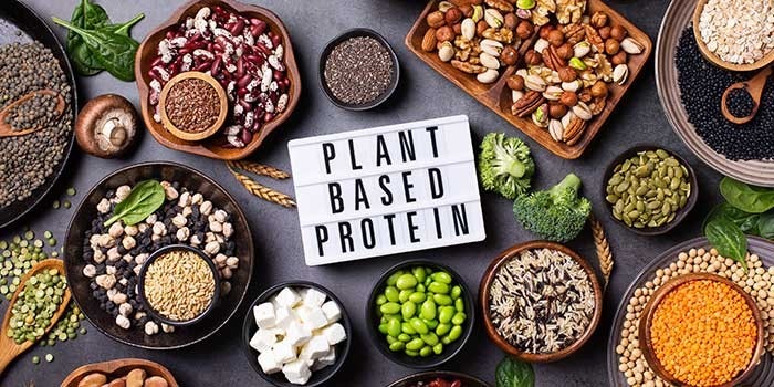 Plant based protein